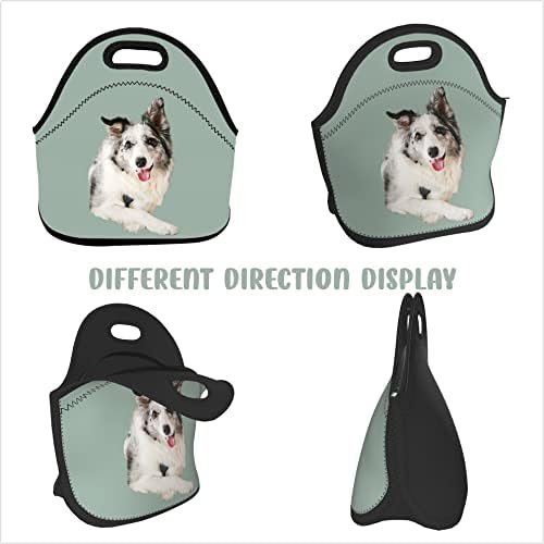 Personalizirana torba za ručak za kućne ljubimce, prilagođena torba za ručak za kućne ljubimce, prilagođena