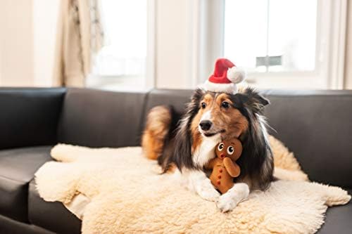 Vanjski gonič Jingle Bell ovratnik za odmor i božićni dodaci za pse