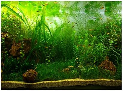 Pozadinski poster gloglow akvarij, vodeni travnjak PVC ljepljivi dekor papir za ribe rezervoar za riblje rezervoar