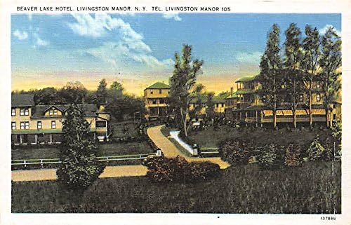 Livingston Manor, New York Razglednica