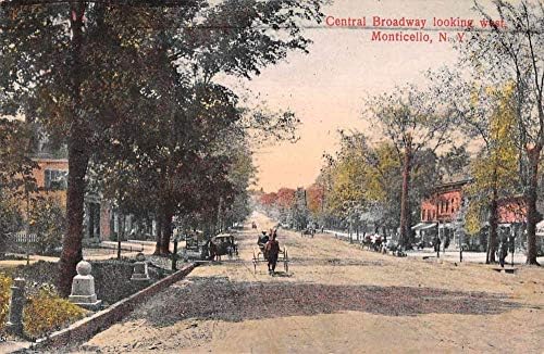 Monticello New York konj buggy south down Central Broadway antique pc BB177