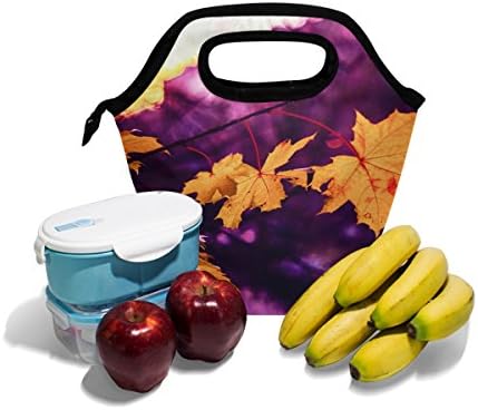 HEOEH jesenja torba za ručak od javorovog lista Cooler Tote Bag izolovana kutija za ručak sa patentnim zatvaračem