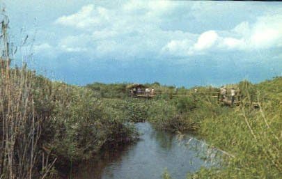 Nacionalni park Everglades, Postcard Florida