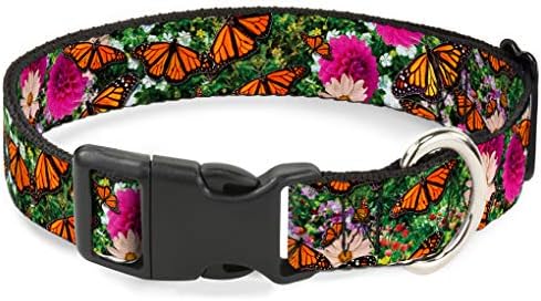Mačja kragna sa kopčom otcepljena Vivid Monarch Butterfly Garden 6 do 9 inča širine 0,5 inča