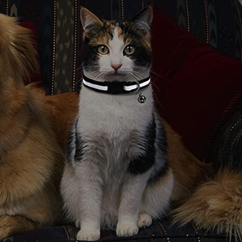 CAMAL Reflektirajuća kragna za mačke personalizirana oznakom za kućne ljubimce, sigurnosna kragna za mačke s oznakom s imenom, fluorescentna zelena kragna za mačiće sa zvonom za štence za djevojčice