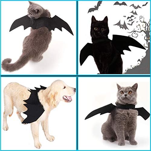 Krila mačjeg šišmiša, Airlxf krila mačjeg šišmiša za kućne ljubimce za Halloween ukras za zabavu Crna mačja
