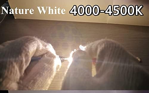 10pcs / LOT Led čip velike snage 3W dnevna svjetlost Bijela Priroda Bijela SMD Cob svjetlosni emiter LED