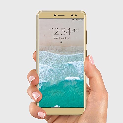 Blu Vivo XL3 -5.5 HD + 18: 9 Prikažite pametni telefon sa Android 8.0 Oreo -Gold