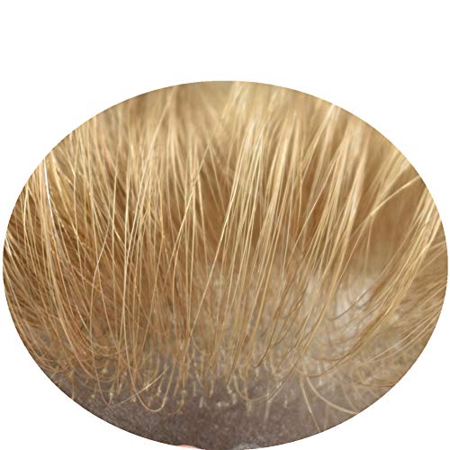 SINGA HAIR Mens Toupee Super Thin Skin 0.02-0.04 mm Ultra Thin Skin Hairpiece Super Thin Full Poly sistem